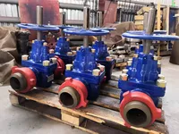 Задвижки буровые ЗБС.100.52.10.000 купить в Бухаре